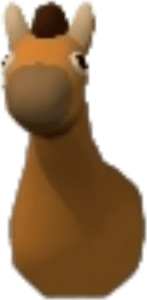 Pony