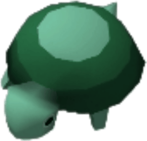 Tortoise
